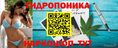 эйфоретик Моздок