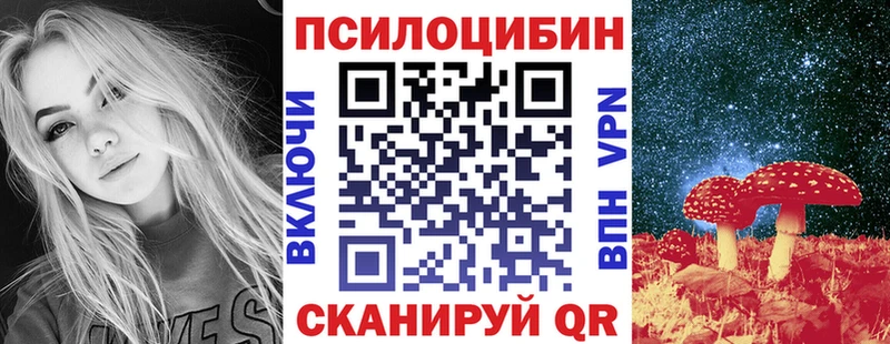 kraken как зайти Татарск Псилоцибиновые грибы Cubensis