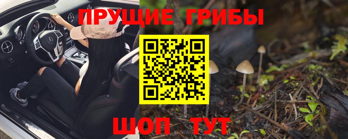 Псилоцибиновые грибы Magic Shrooms  Вход с VPN  Татарск 