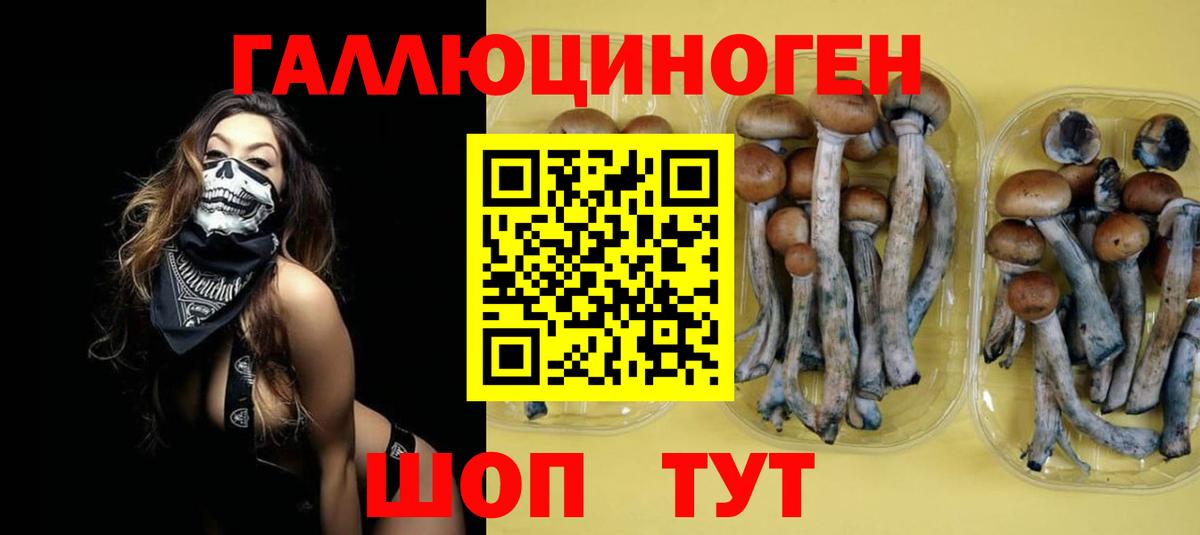 Псилоцибиновые грибы мицелий Татарск